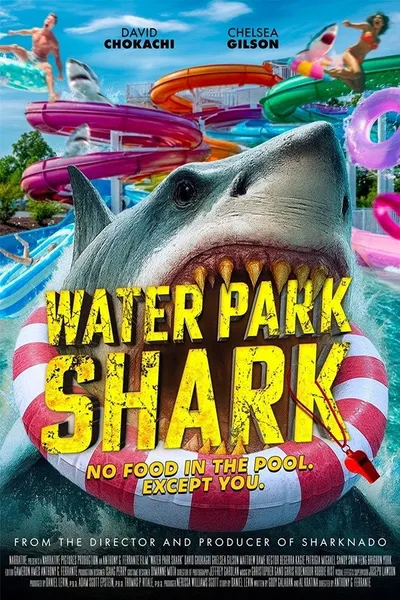 Water Park Shark