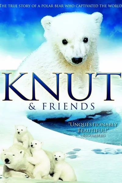 Knut and His Friends