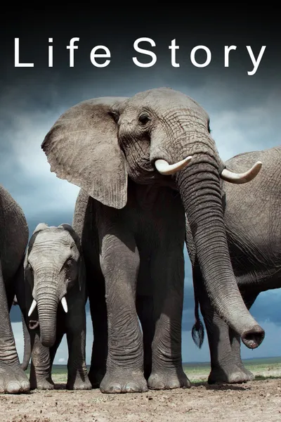 Life Story