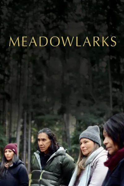 Meadowlarks