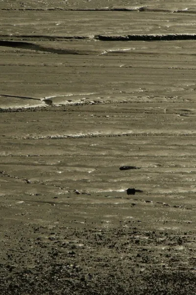 World Without End (No Reported Incidents)