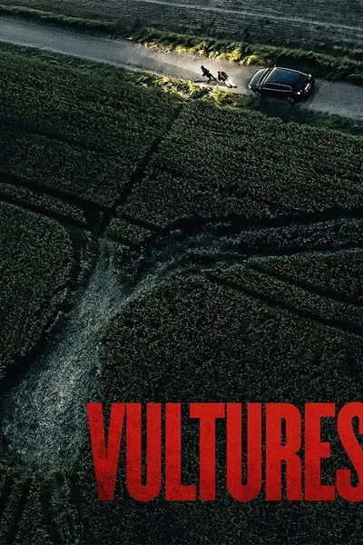 Vultures